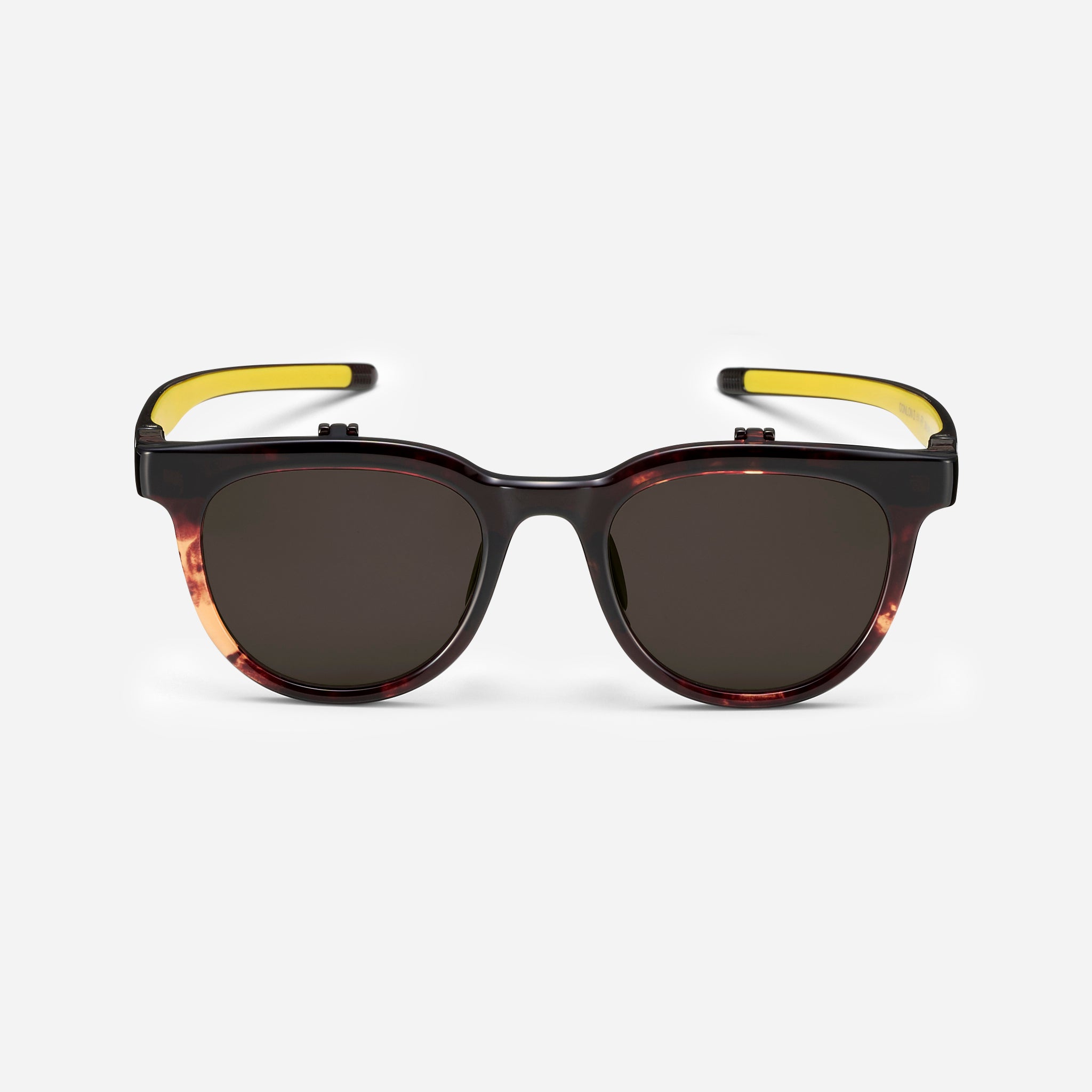 CONLON3 (51)-FP 51 DM-LY-PL-BK PL｜サングラスのEyevol（アイヴォル