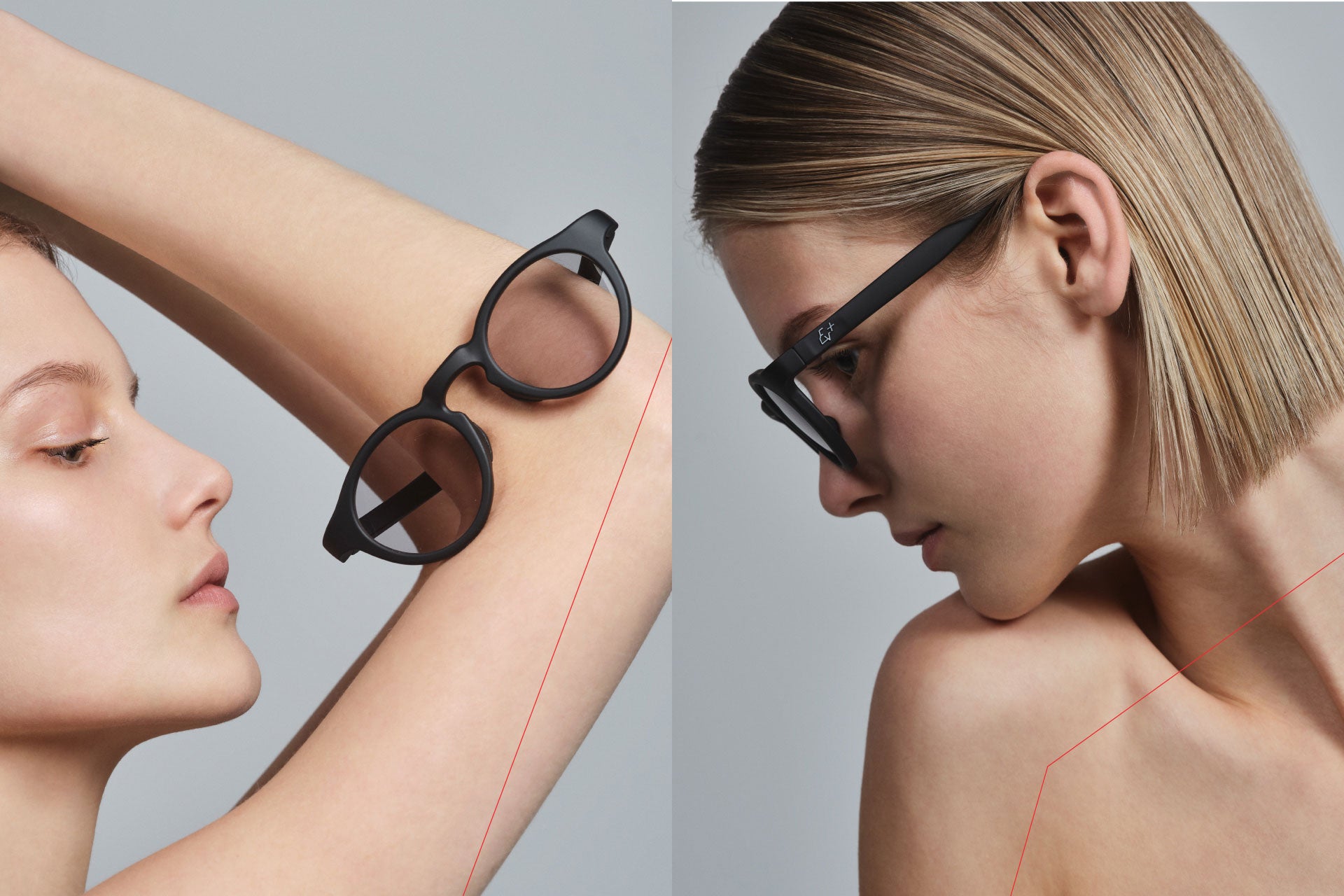 Eyevol PLUS